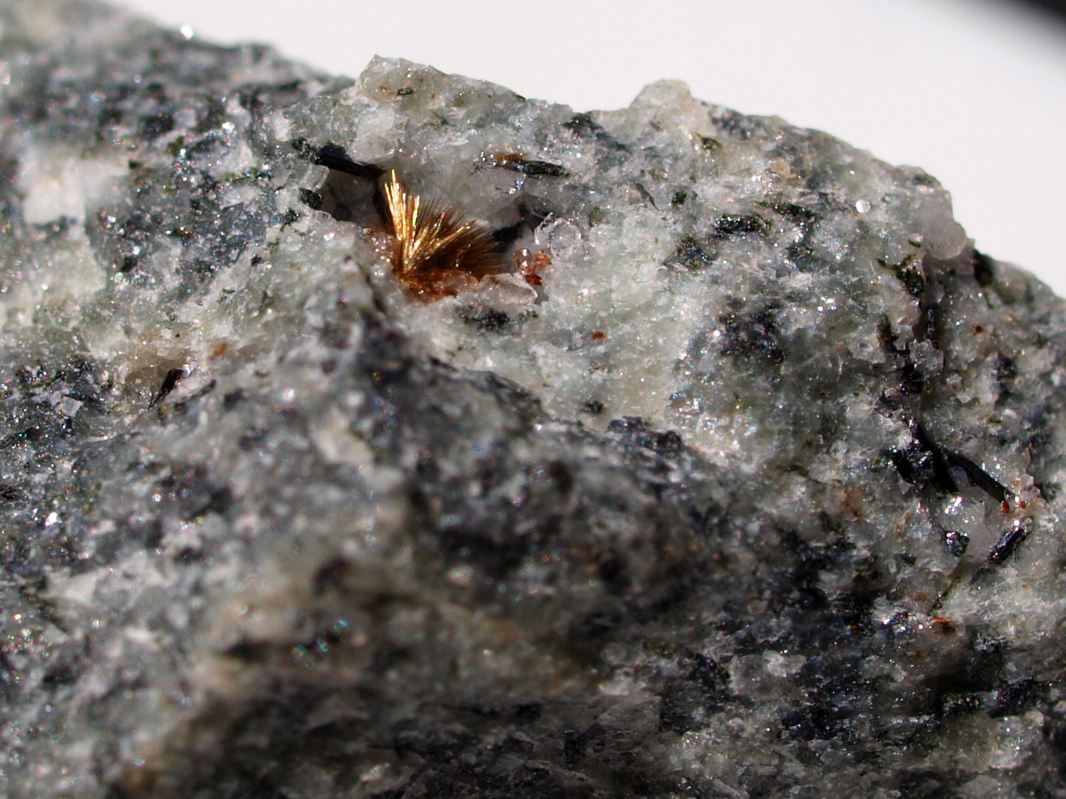Tuperssuatsiaita
2,2 x 1,5 x 0,8 cm
(Autor: rubenaranal)