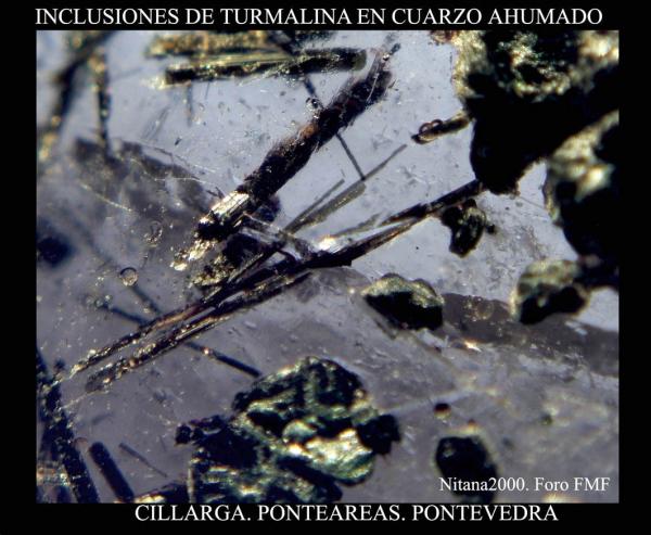 (Autor: Juan de Laureano)