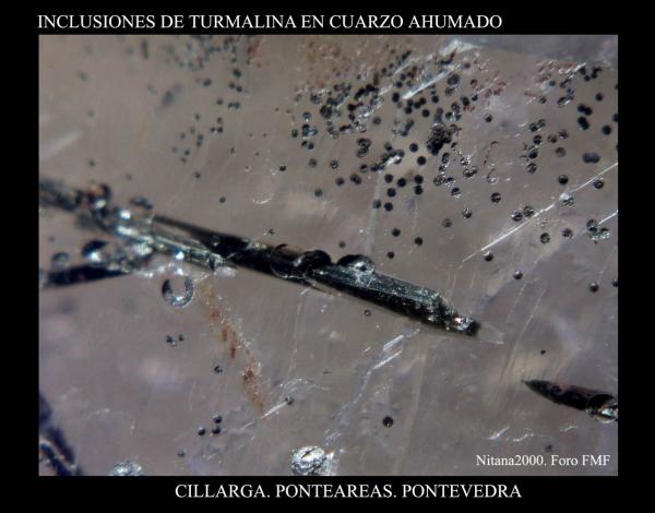 (Autor: Juan de Laureano)
