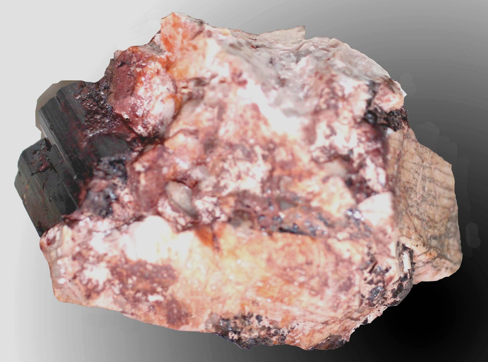 Microclina [Microcline], Chorlo [Schorl]
58 x 45 x 35 mm.
(Autor: José Luis Zamora)