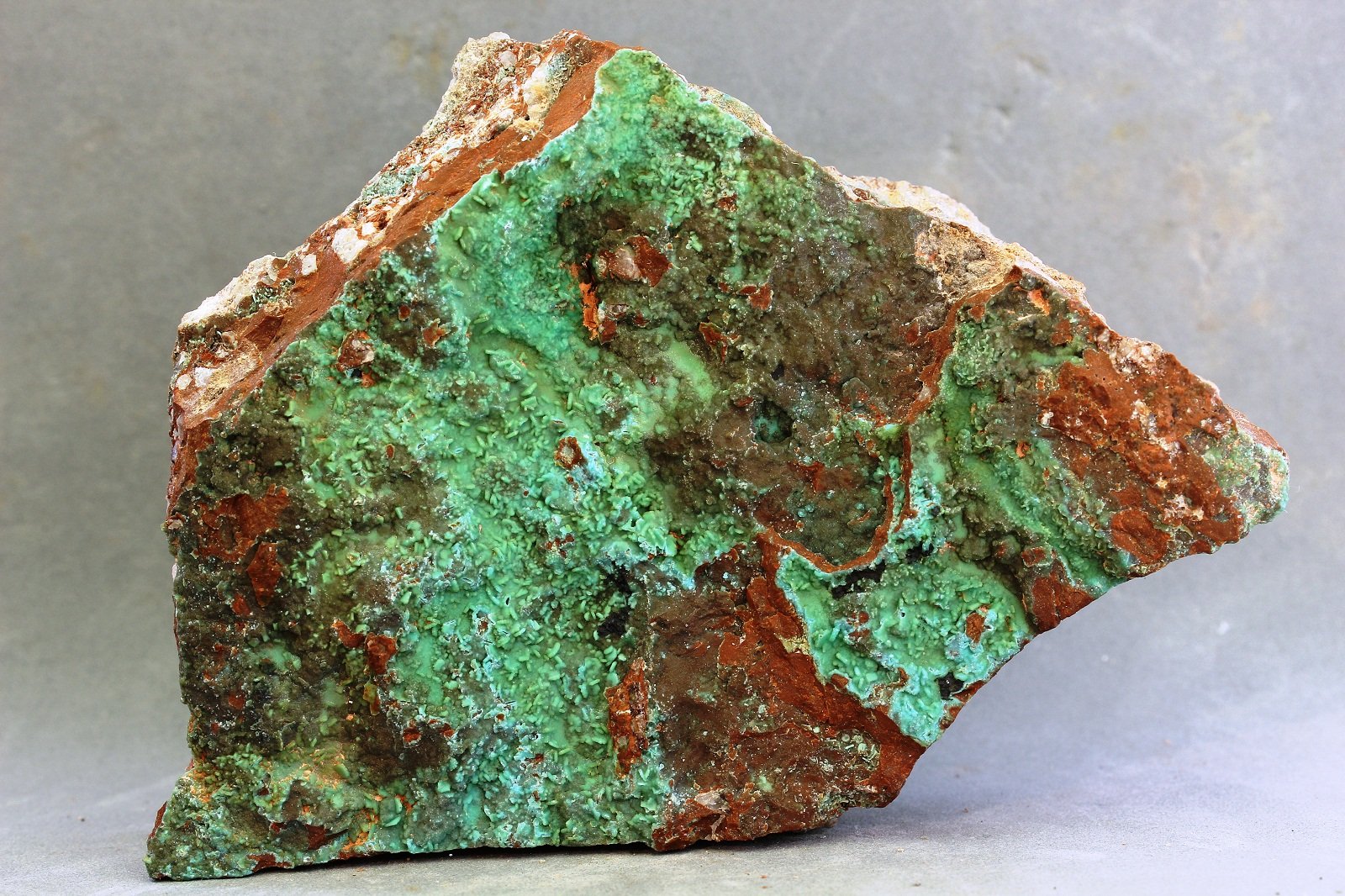 Turquesa
83X54X23 mm
(Autor: Juan Espino)