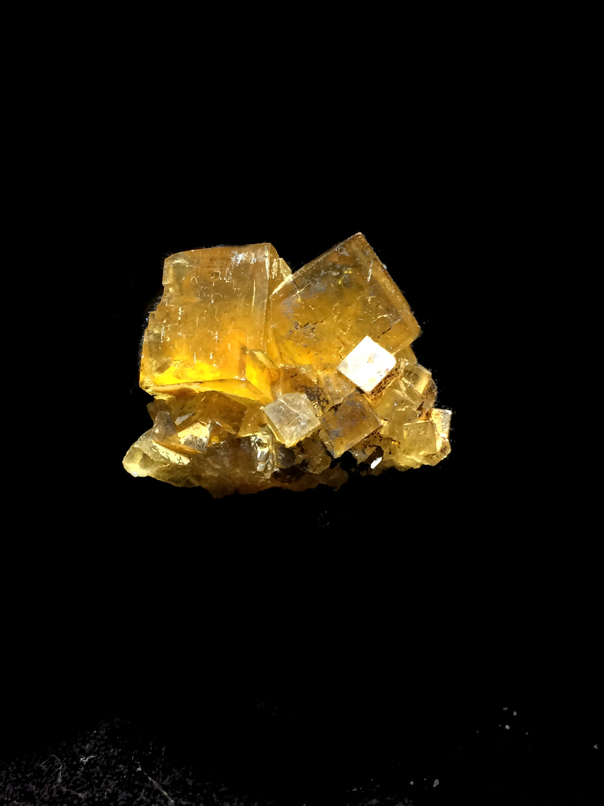 Fluorita
3x2cm
(Autor: Obsi)