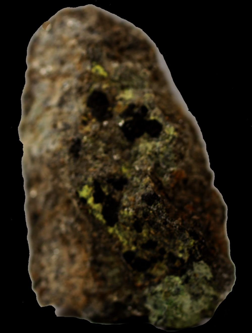 Uraninita
27 x 17 x 14 mm.
(Autor: José Luis Zamora)