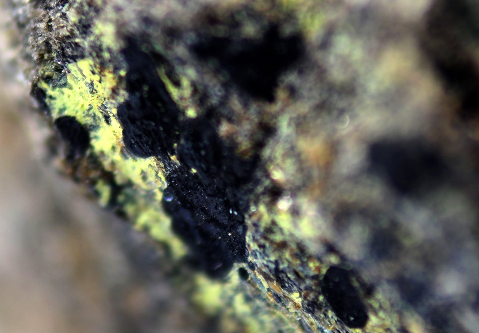 Uraninita
27 x 17 x 14 mm.
(Autor: José Luis Zamora)