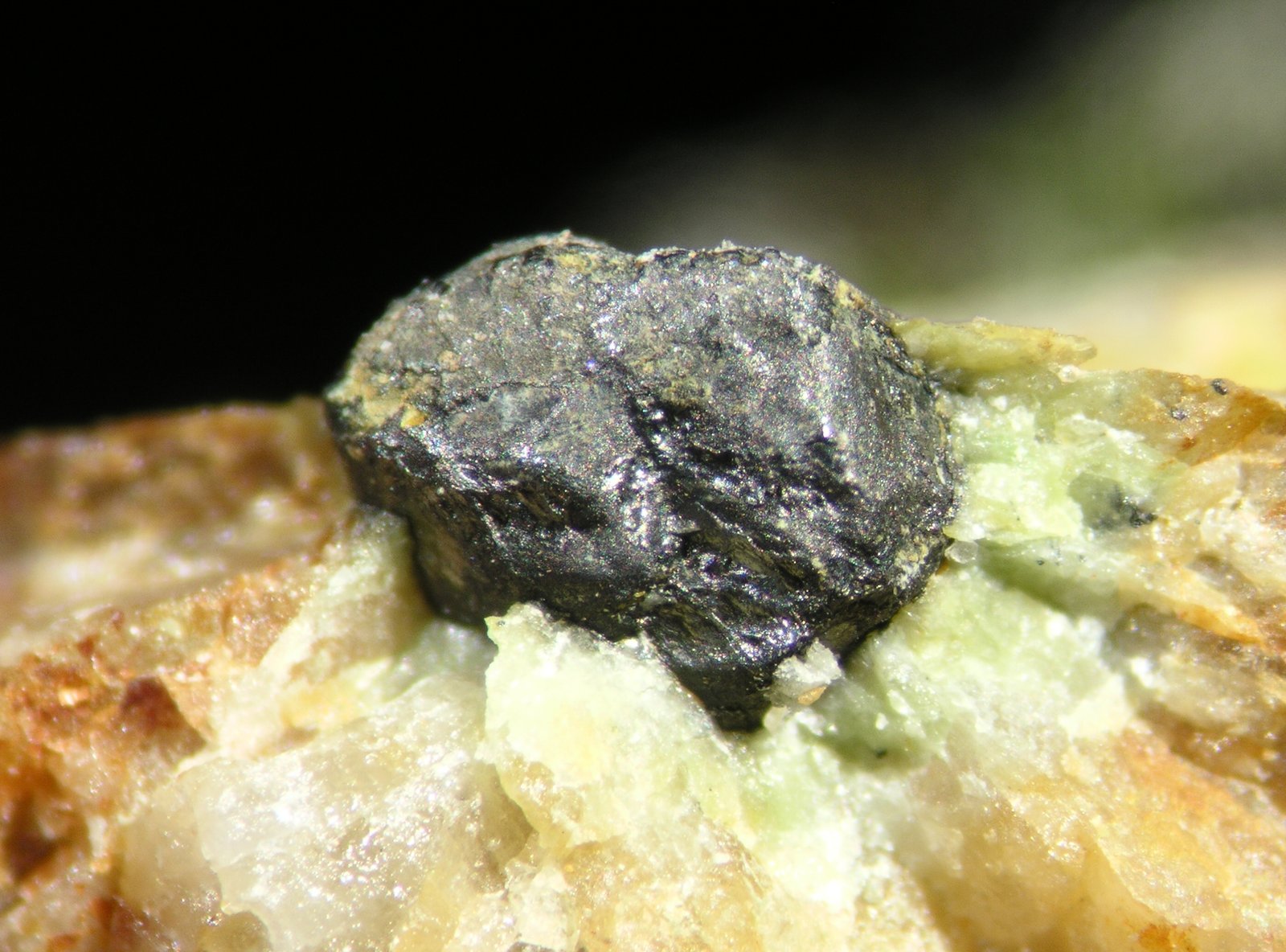 Uraninita
cristal 0.5 cm
(Autor: Cesar M. Salvan)
