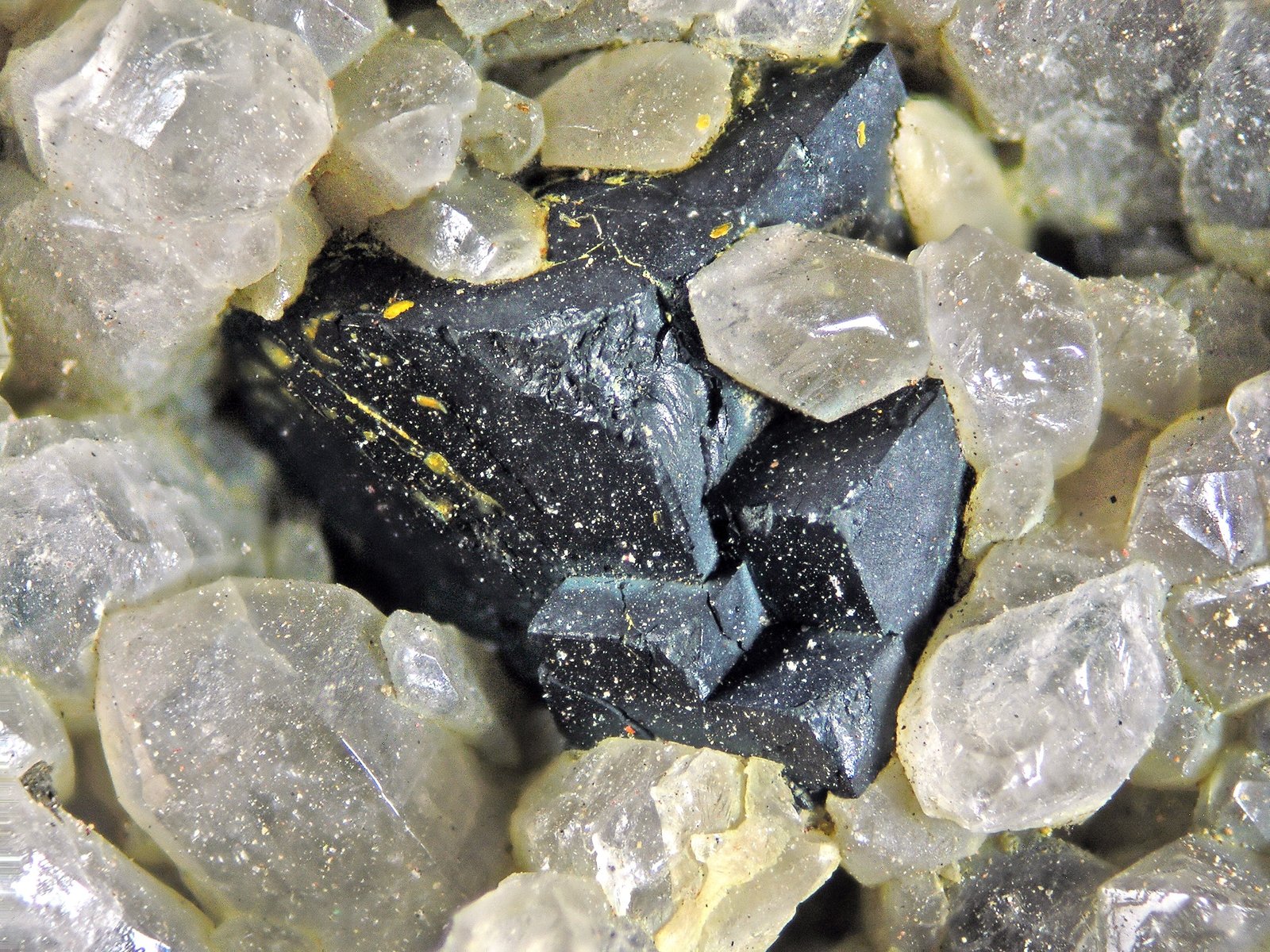 Uraninita
cristal 0.5 cm
(Autor: Cesar M. Salvan)