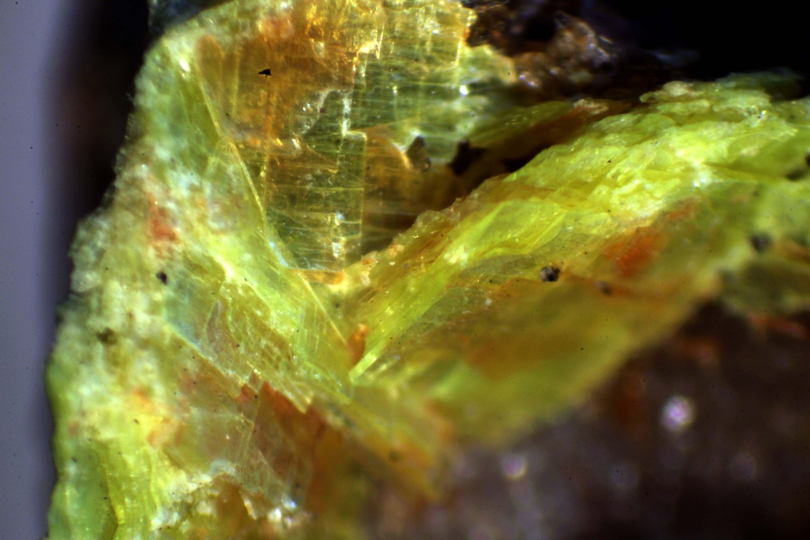Uranocircita
< 1 mm
(Autor: José Luis Zamora)