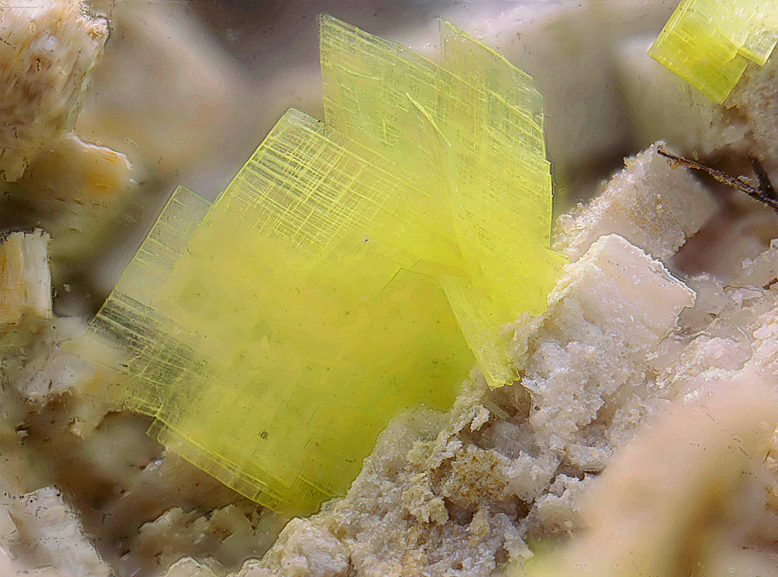 Uranocircita sobre Ortoclasa.
Campo de visión de 8 mm.
(Autor: Antonio Carmona)