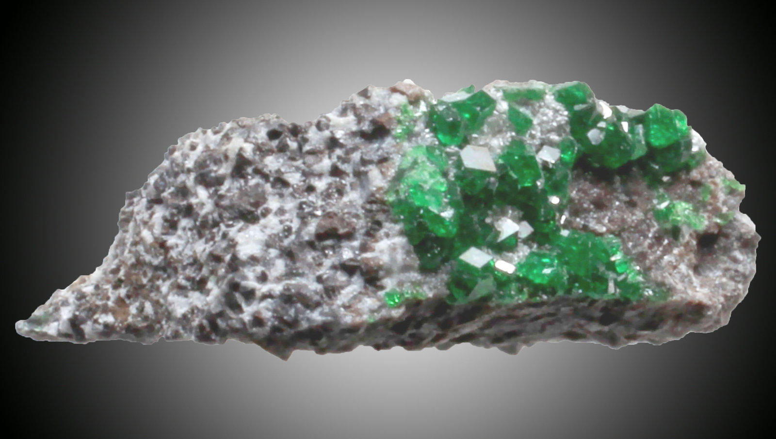 Uvarovita
Micro
(Autor: José Luis Zamora)