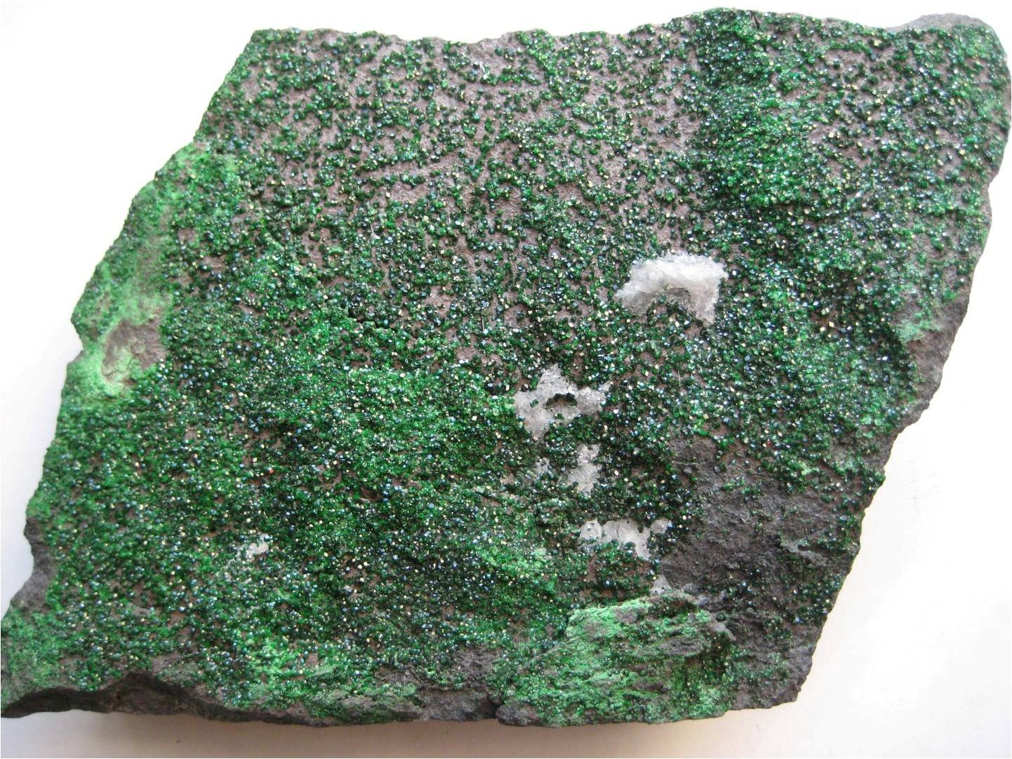 Uvarovita
27 cm
(Autor: marco campos-venuti)