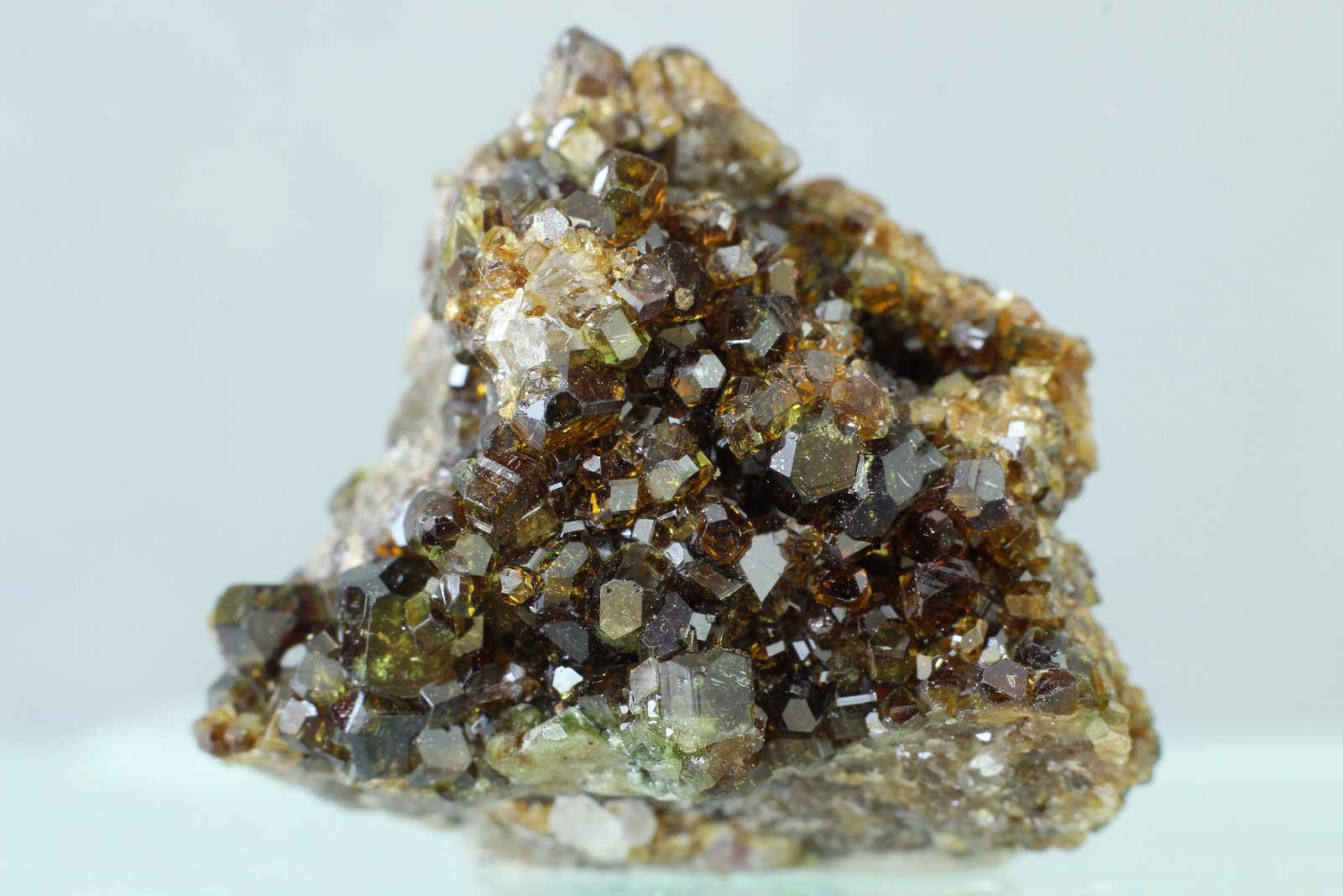 Uvita
25x23 mm
(Autor: Juan Espino)