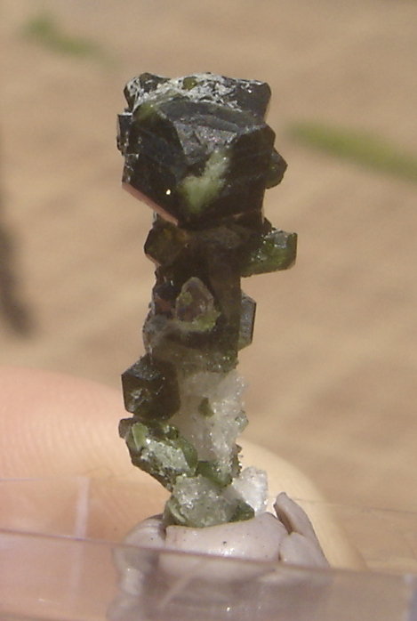 Uvita
2,1 x 0,6 x 0,6 cm
(Autor: Anisio Claudio)