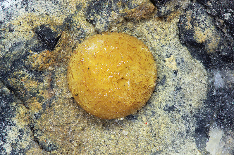 Valentinita
agregado esférico de cristales: 7x7 mm
(Autor: Ramon A  Lopez Garcia)