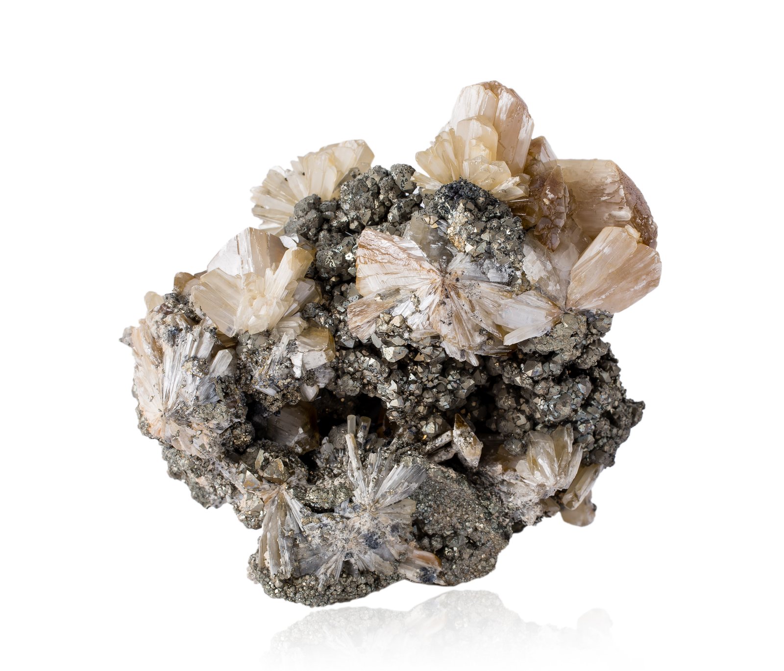 Valentinita
9,5 x 6 x 9,5 cm
(Autor: Museo MIM)