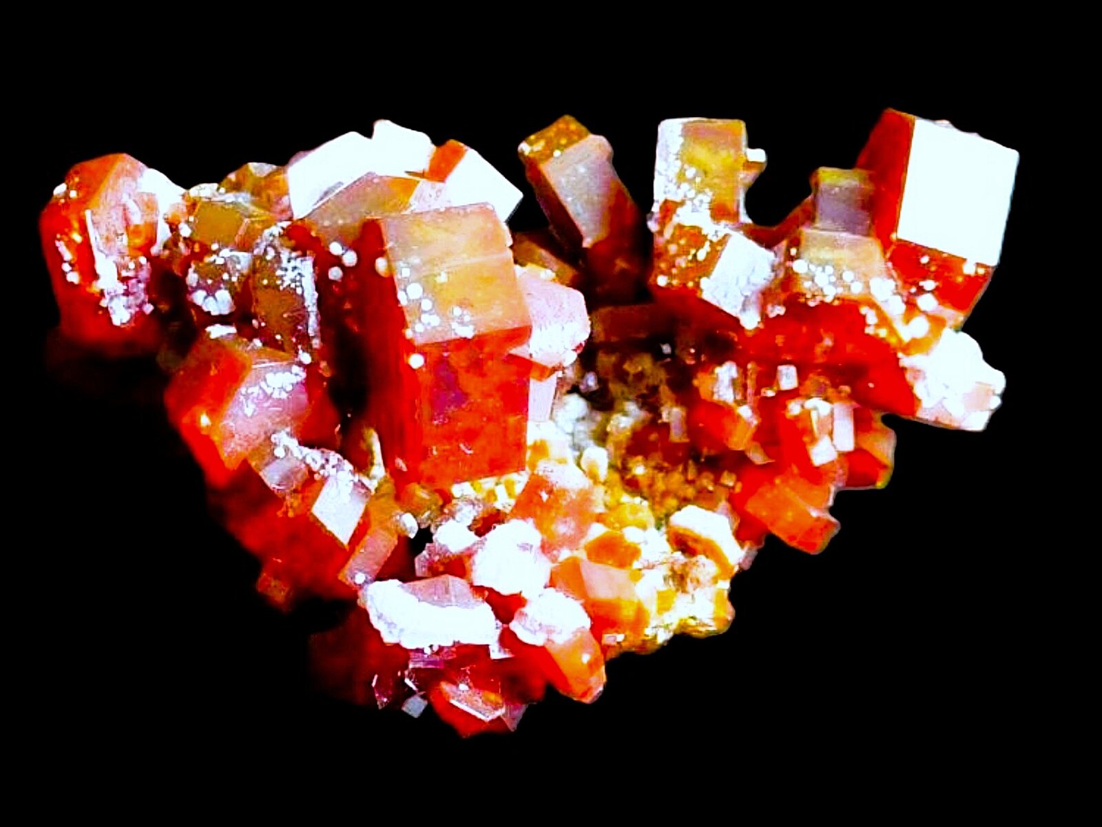 Vanadinita, Barita
Mibladen (Mibladen mining district), Midelt, Midelt Province, Drâa-Tafilalet Region, Morocco
5,5 x 3 cm.
(Autor: javier ruiz martin)