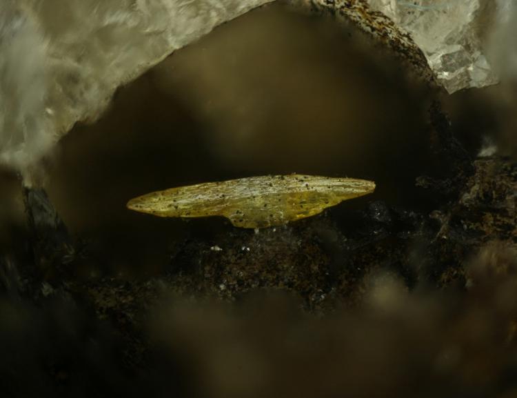 Vanadinita
Cristal de 1,5 mm aprox.
(Autor: Inma)
