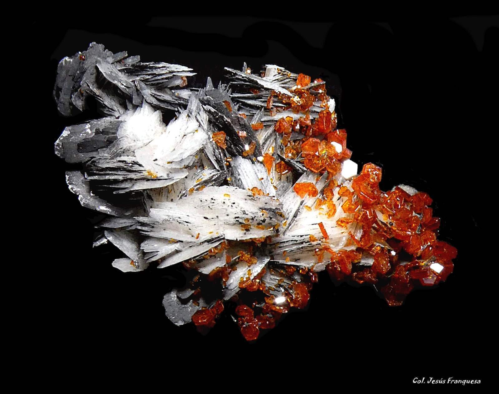 Vanadinita
41x26 mm.
(Autor: Jesus Franquesa Baucells)