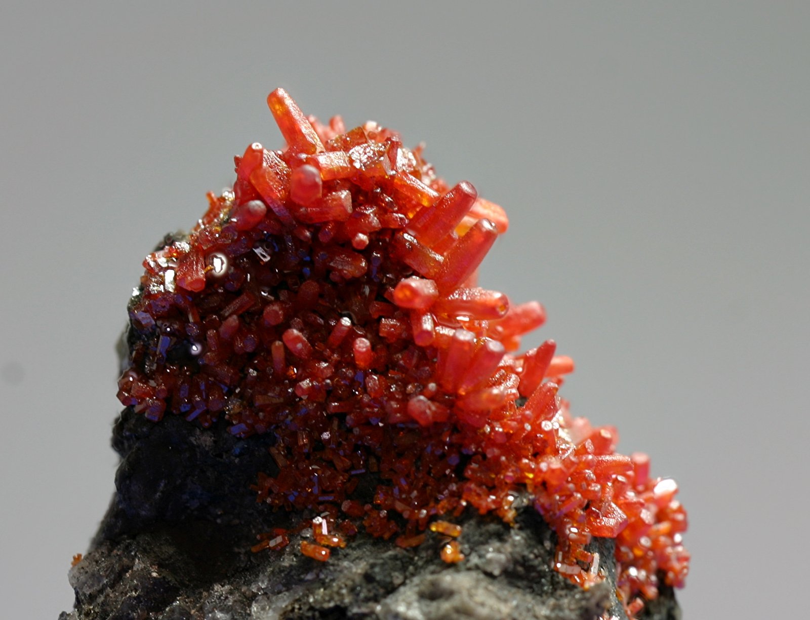 Vanadinita
enfoque 20x20 mm
(Autor: Ramon A  Lopez Garcia)