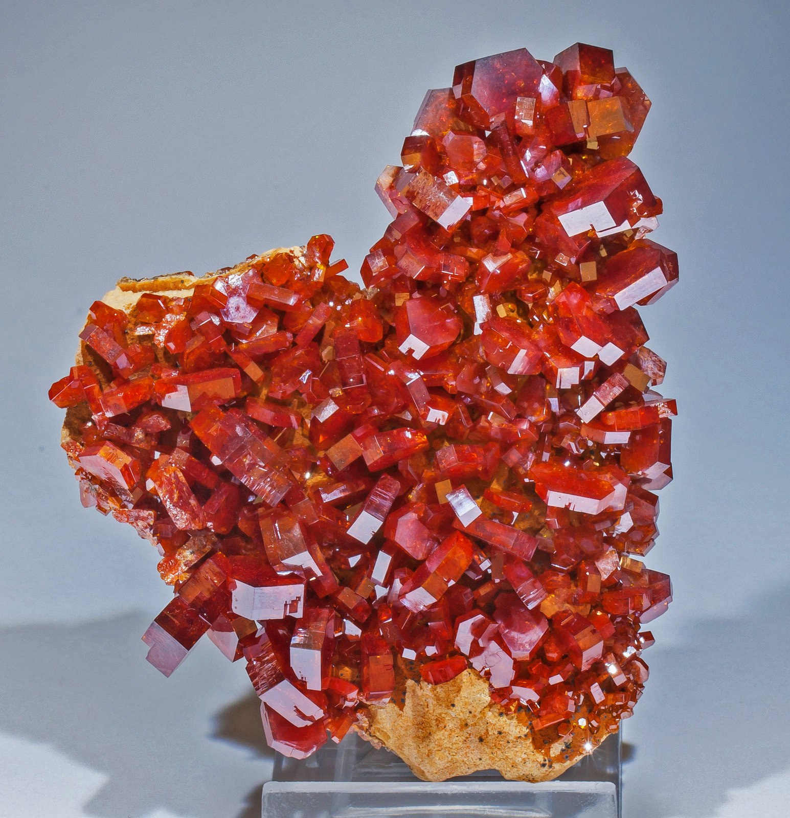Vanadinita
8.2 × 7 × 2.7 cm
(Autor: Jordi Fabre)