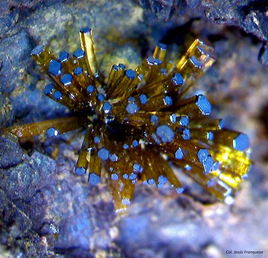 Vanadinita.
2´293 x 1´711 mm.
(Autor: Jesus Franquesa Baucells)
