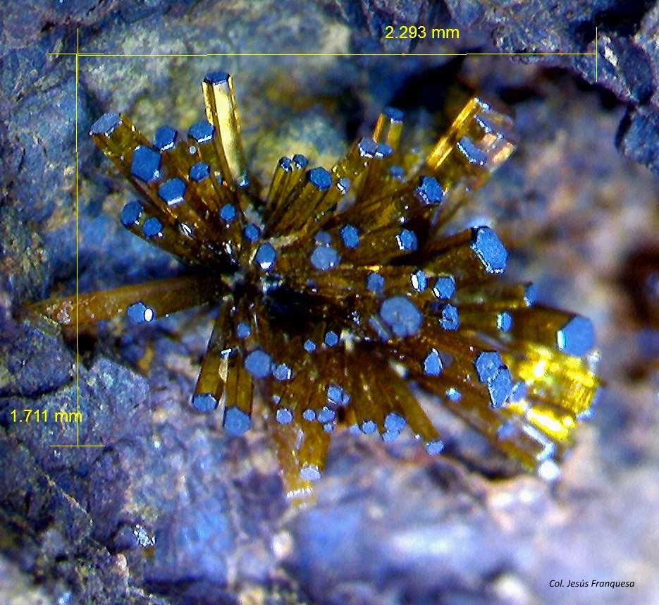 Vanadinita.
2´293 x 1´711 mm.
(Autor: Jesus Franquesa Baucells)