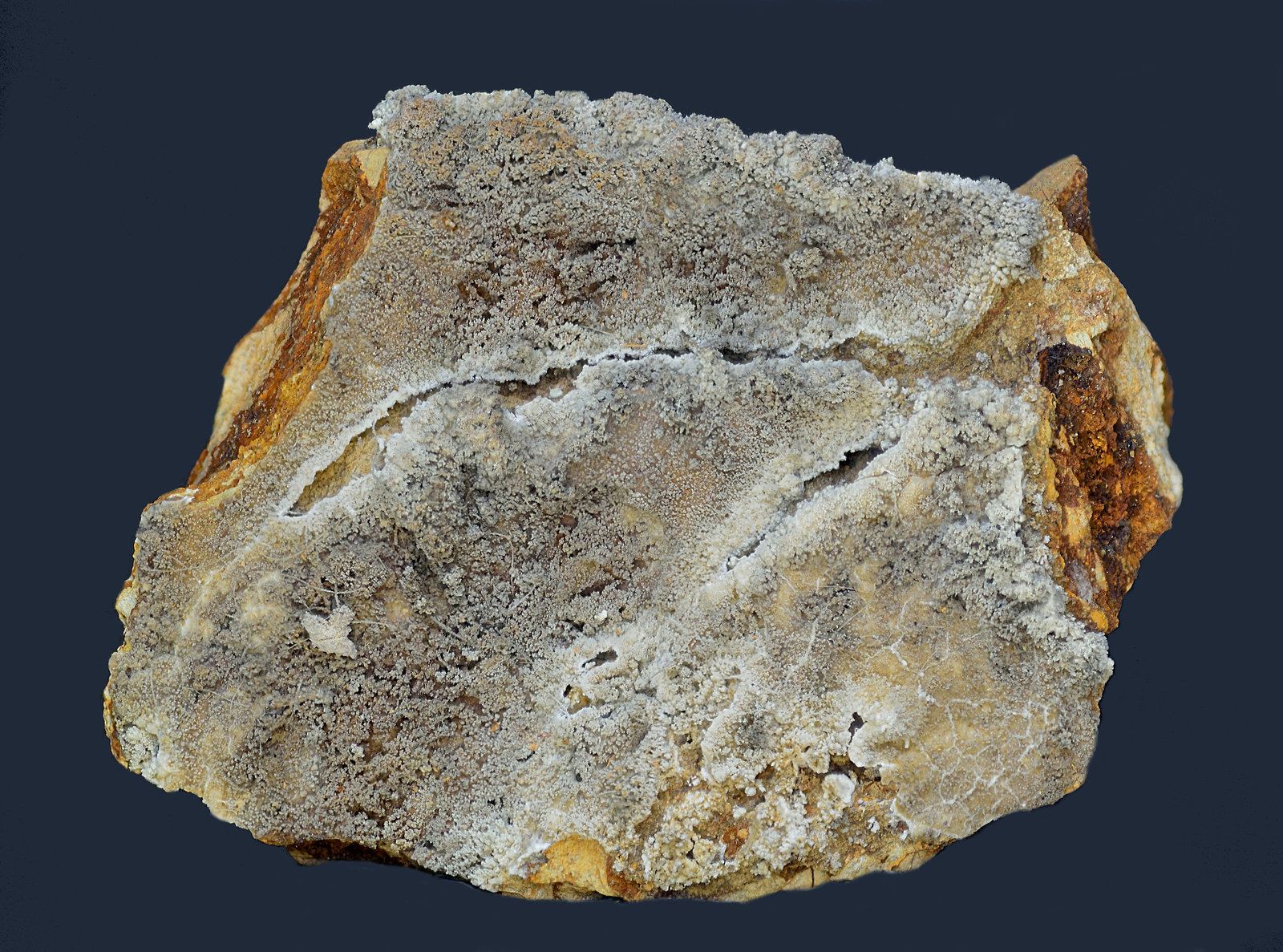 Cotunnita
55x42x7 mm
(Autor: Antonio Carmona)