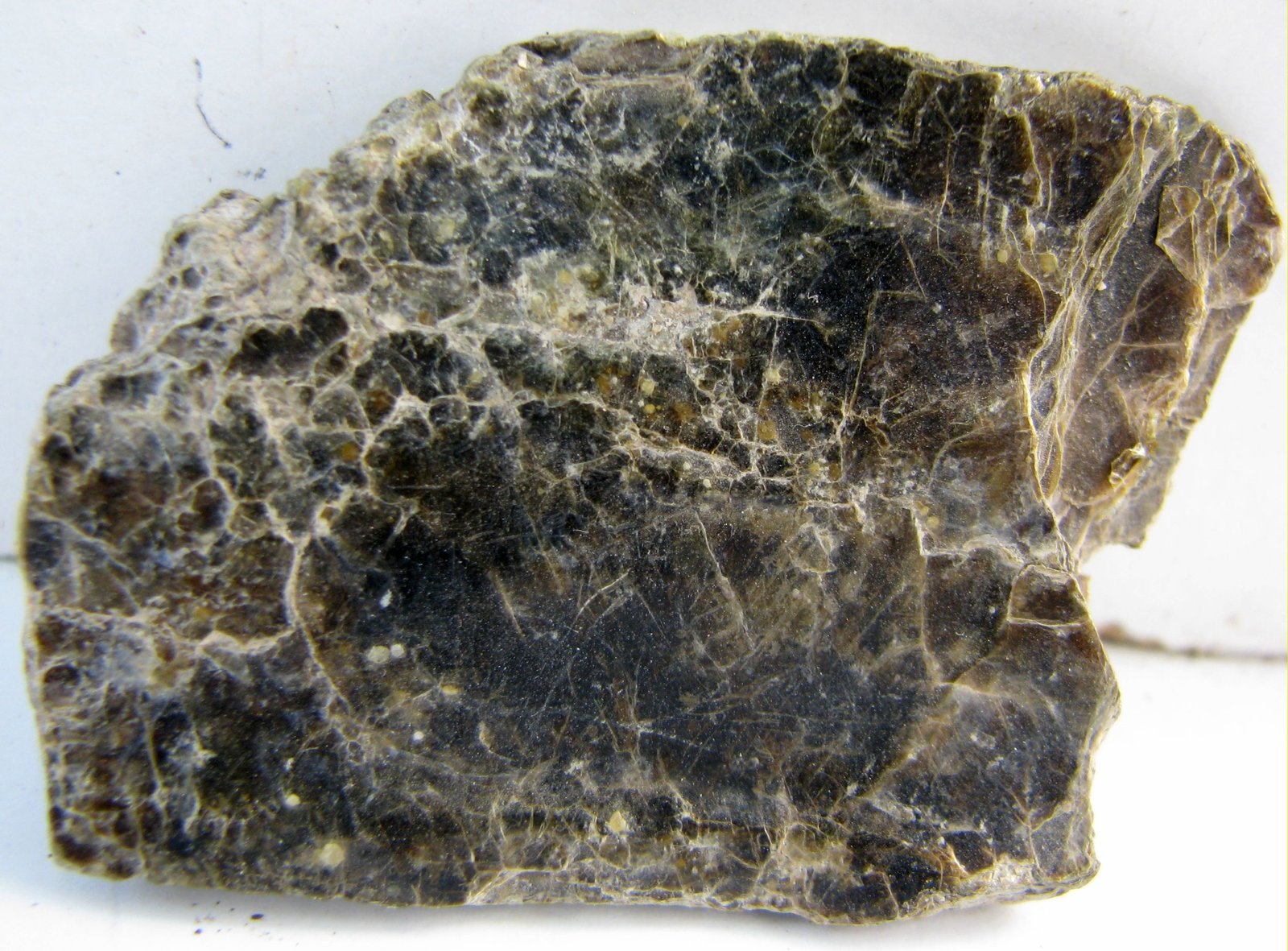 Vermiculita
47 x 35 x 5 mm.
(Autor: José Luis Zamora)