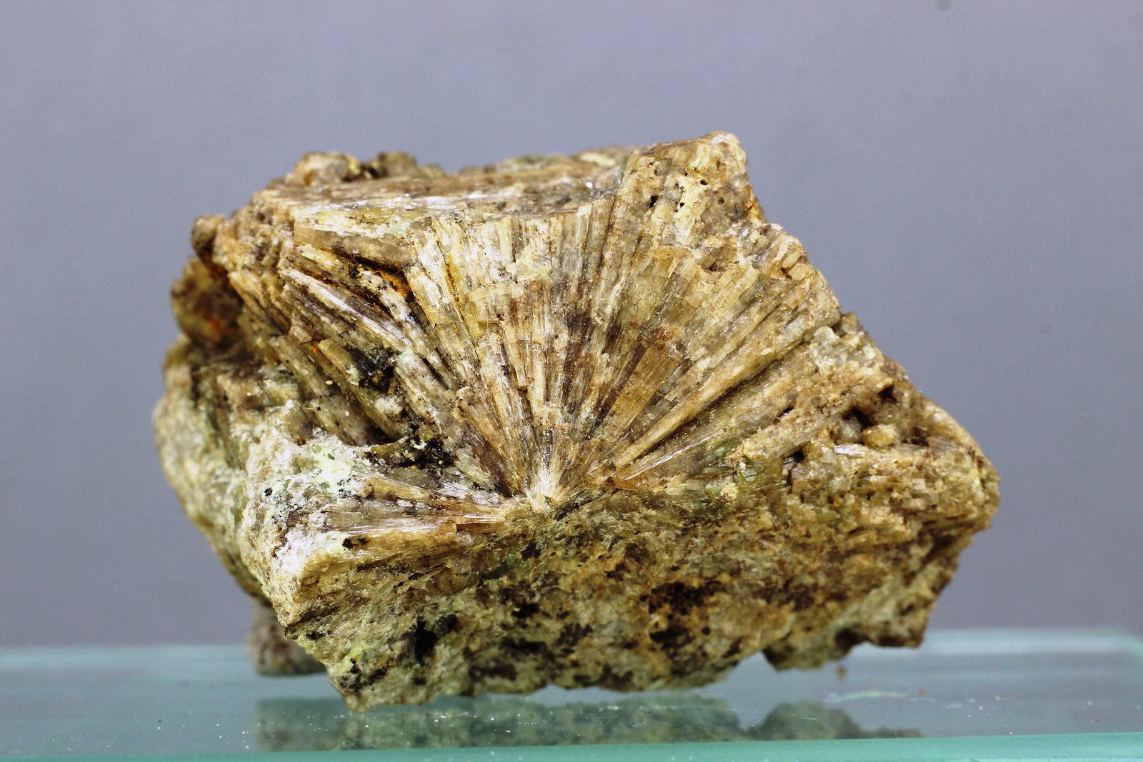 Vesubiana
30x20 mm
(Autor: Juan Espino)