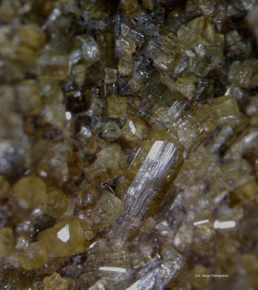 Vesuvianita (Vesubiana)
5´967 x 5´213 mm.
(Autor: Jesus Franquesa Baucells)