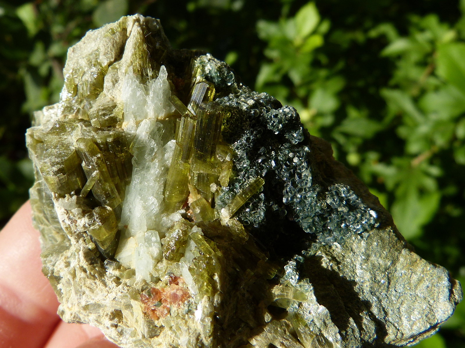 Vesubianita
8x5 cm
(Autor: nerofis2)