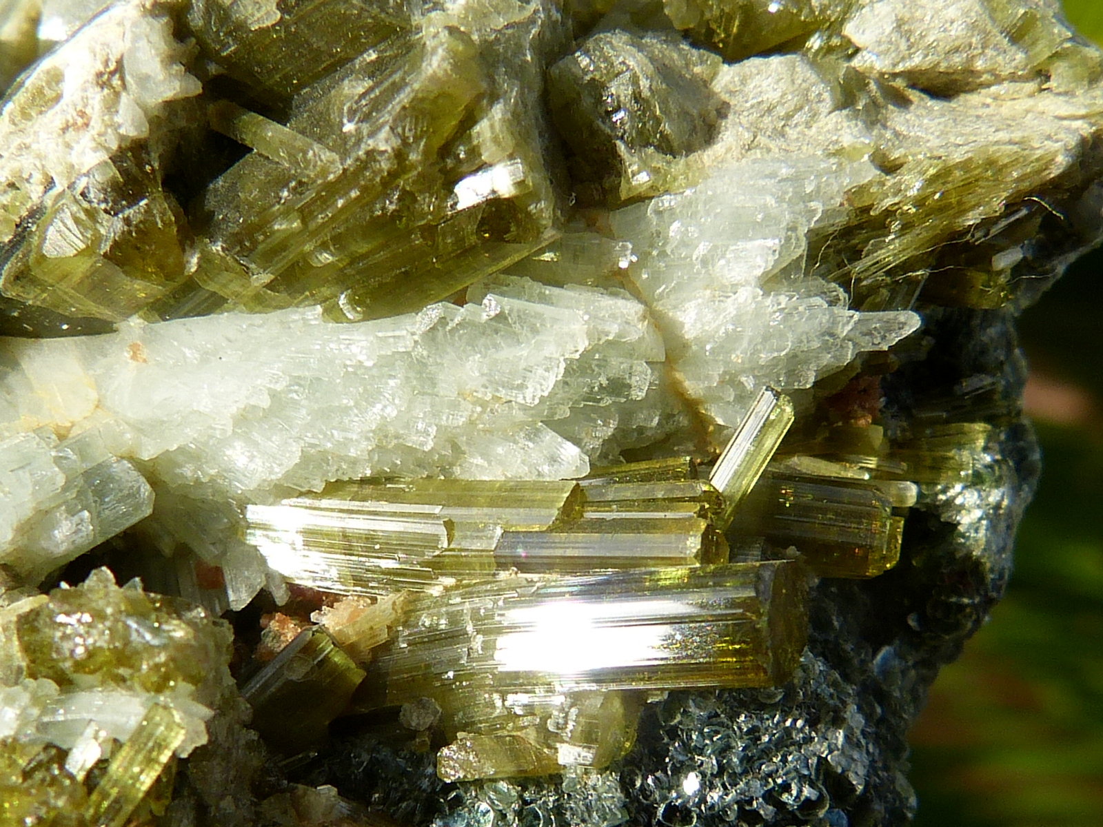 Vesubianita
8x5 cm
(Autor: nerofis2)