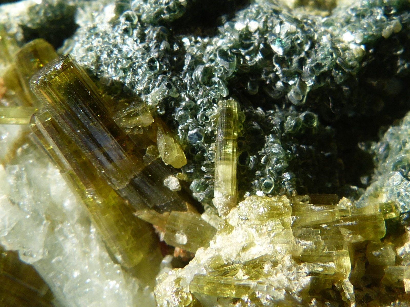 Vesubianita
8x5 cm
(Autor: nerofis2)