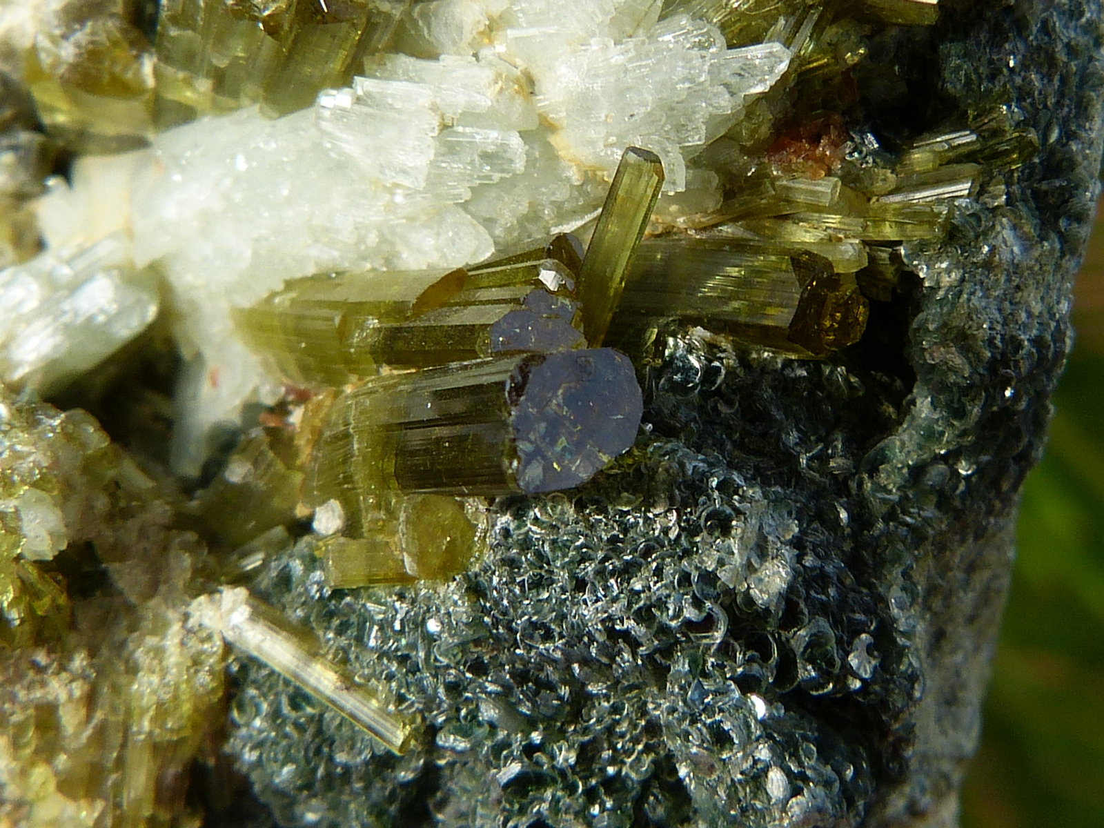 Vesubianita
8x5 cm
(Autor: nerofis2)