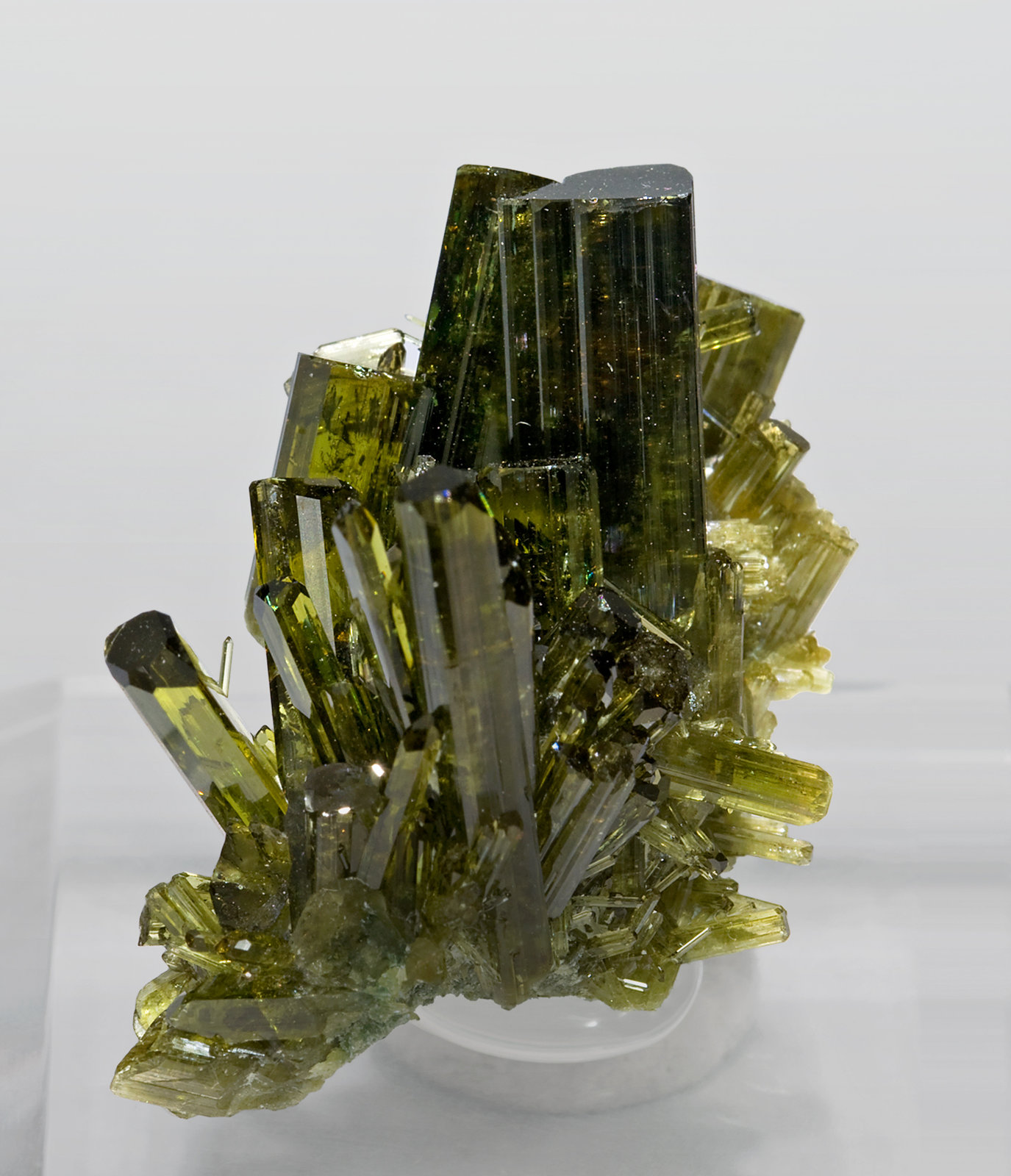 Vesuvianita
3.2 × 2.4 × 2.3 cm
(Autor: Jordi Fabre)
