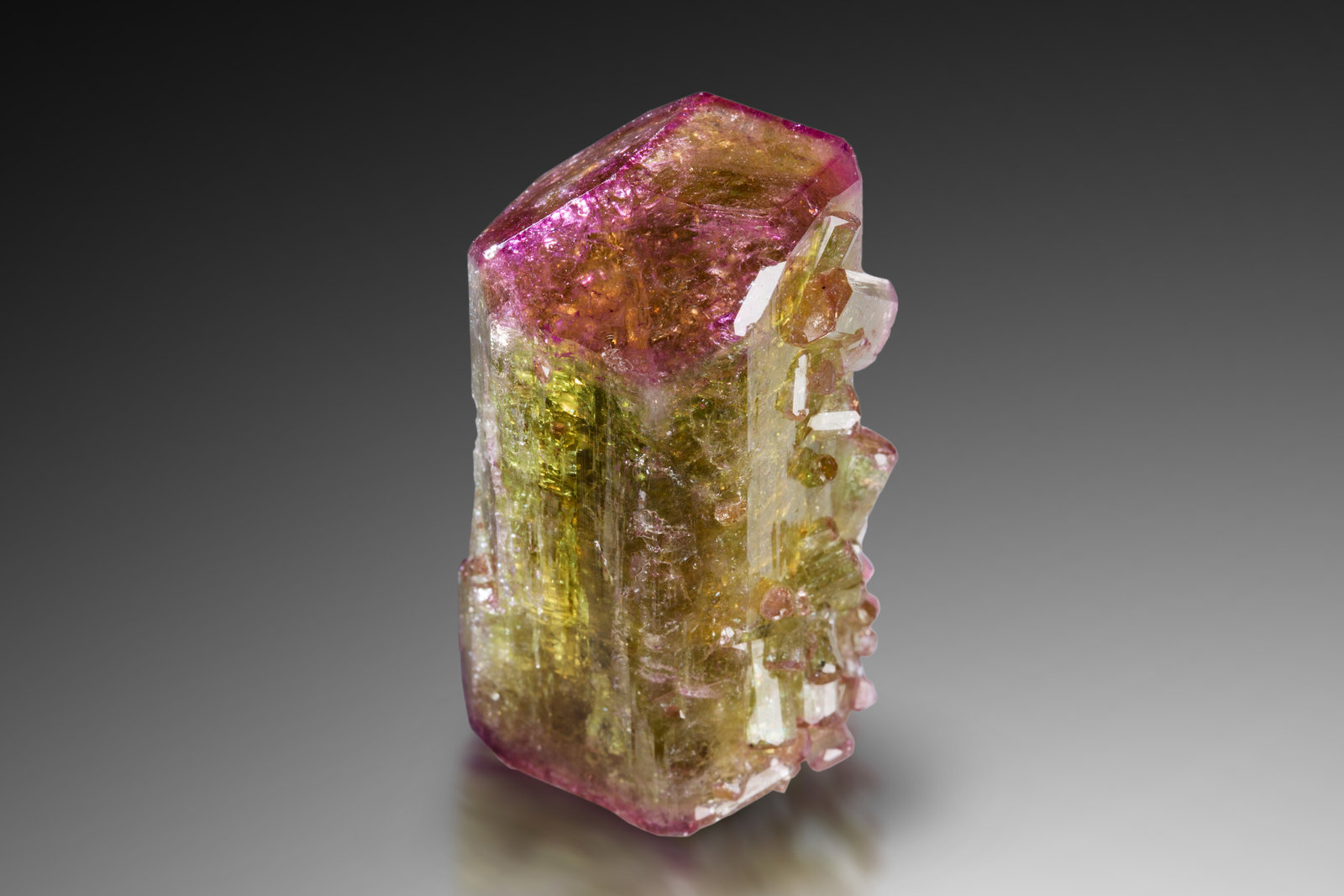 Vesuvianita
2.5 x 2.5 x 4.5 cm / cristal principal: 4.5 cm.
(Autor: Museo MIM)