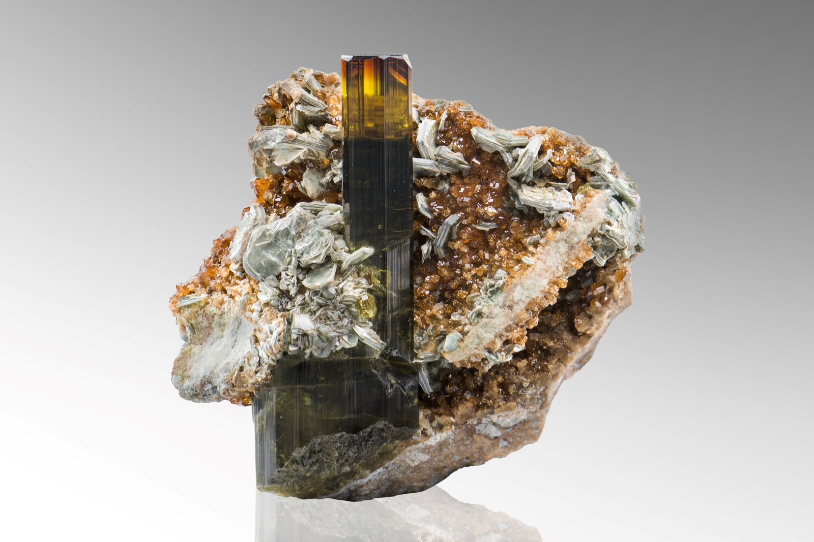 Vesuvianita con Mica y Grossularia (variedad hidrogrossularia)
7 x 4 x 6.5 cm / Cristal principal: 6.4 cm
(Autor: Museo MIM)