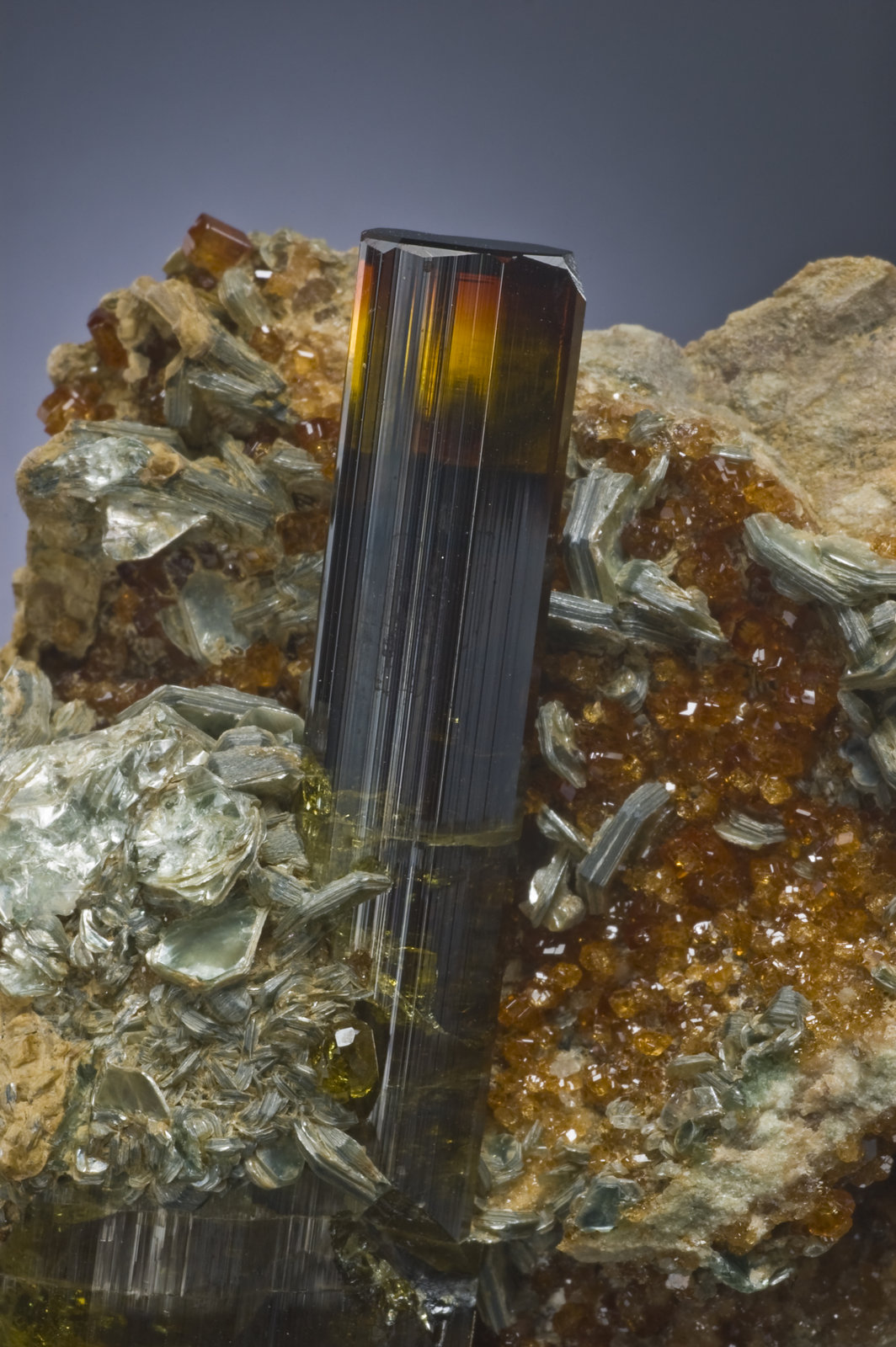 Vesuvianita con Mica y Grossularia (variedad hidrogrossularia)
7 x 4 x 6.5 cm / Cristal principal: 6.4 cm
(Autor: Museo MIM)