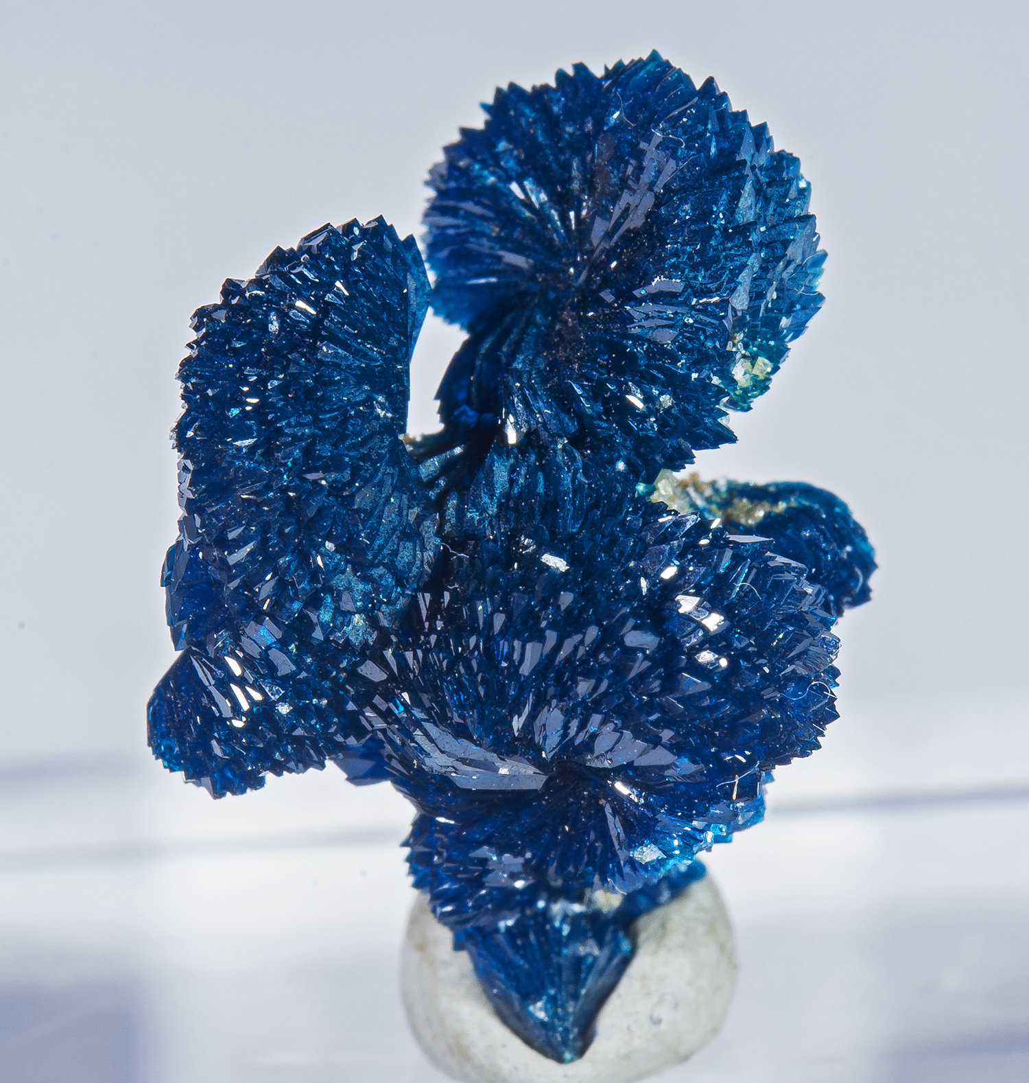 Veszelyita
1.6 × 1.2 × 1 cm
(Autor: Jordi Fabre)