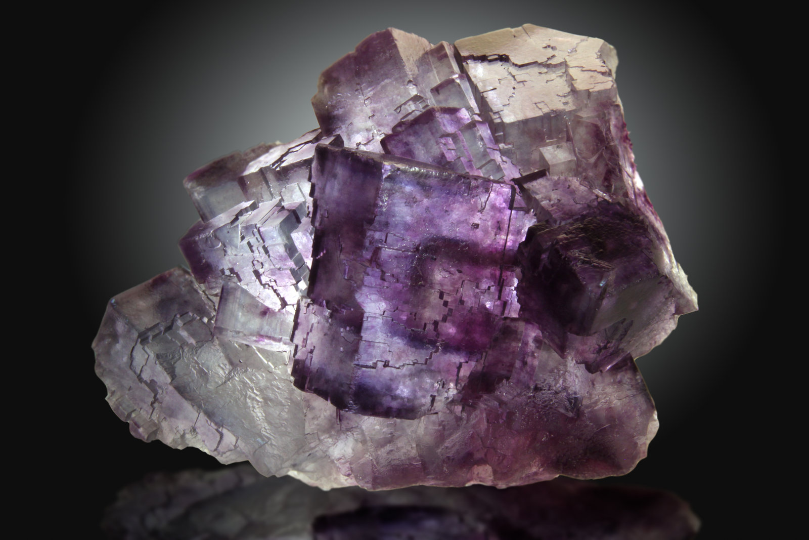 Fluorita
13 x 7cm, cristales de 5cm de arista
(Autor: Raul Vancouver)