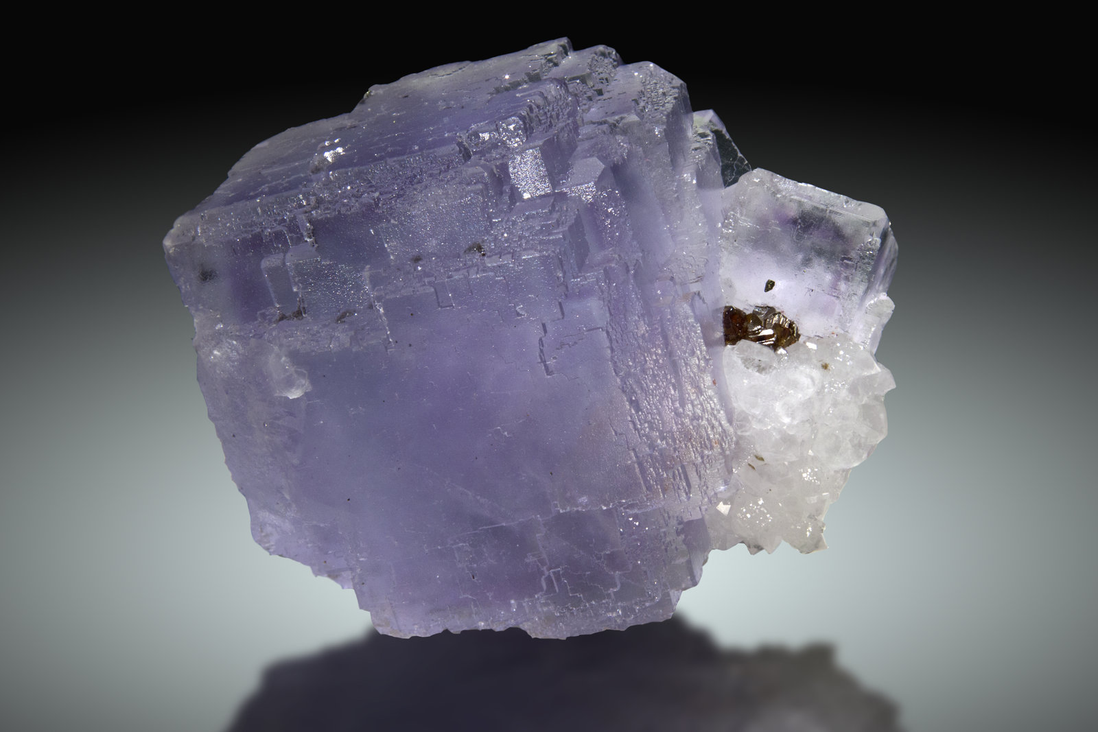 Fluorita, Esfalerita
12x8cm, arista 8cm
(Autor: Raul Vancouver)