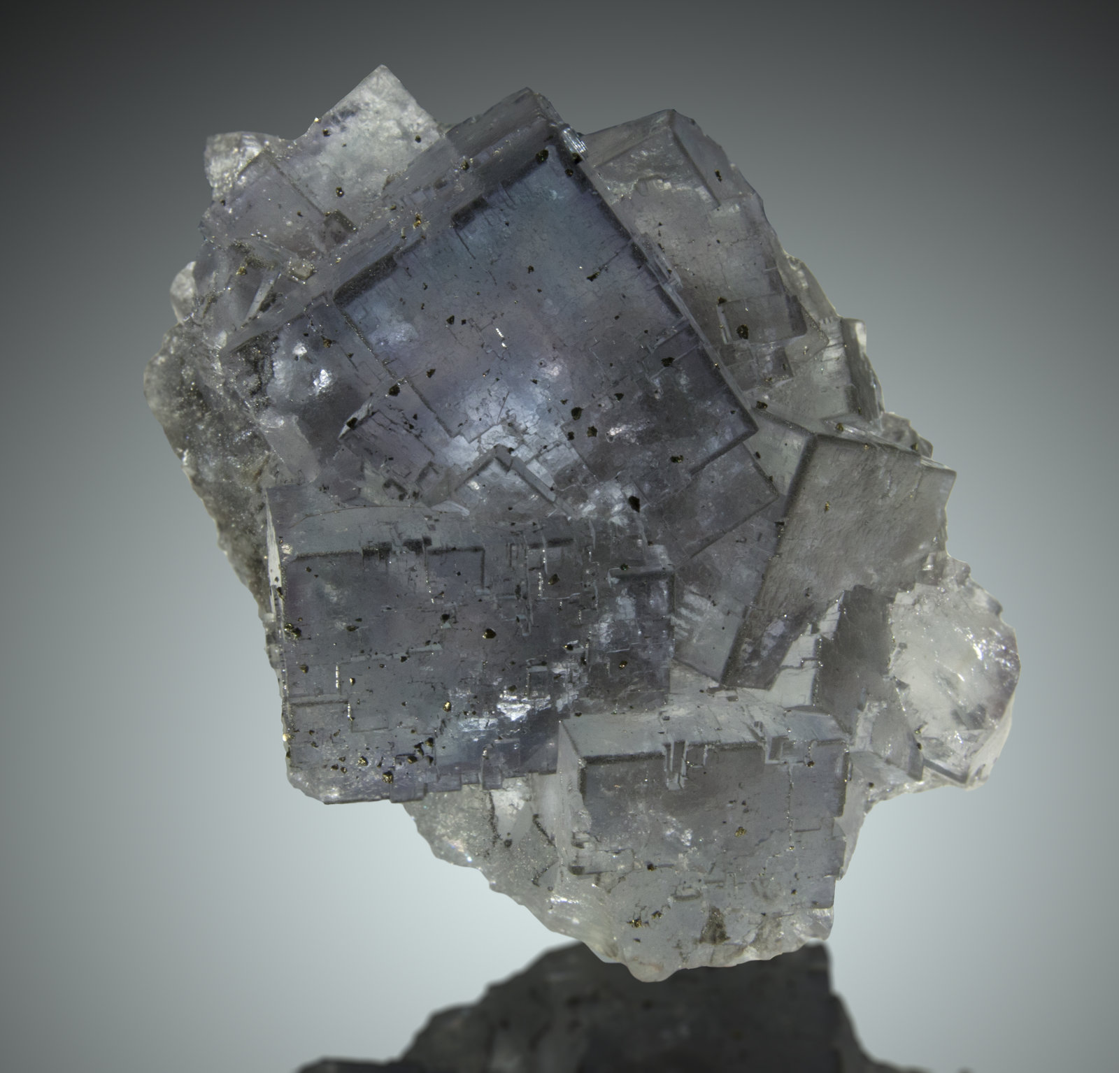 Fluorita, Calcopirita
12x9cm, cristal de 5cm de arista
(Autor: Raul Vancouver)