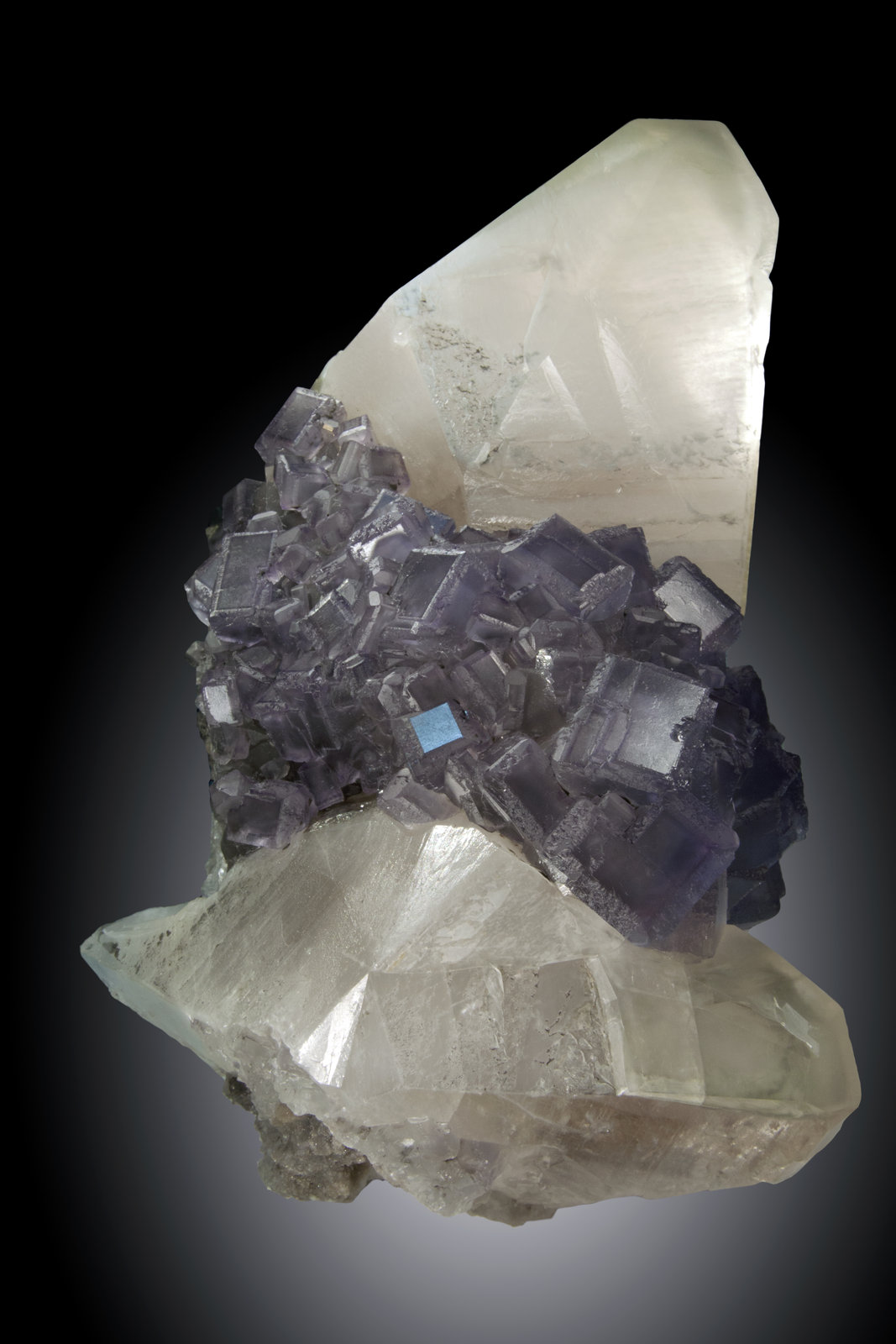Calcita, Fluorita
24x18cm, cristales de calcita de hasta 12cm
(Autor: Raul Vancouver)
