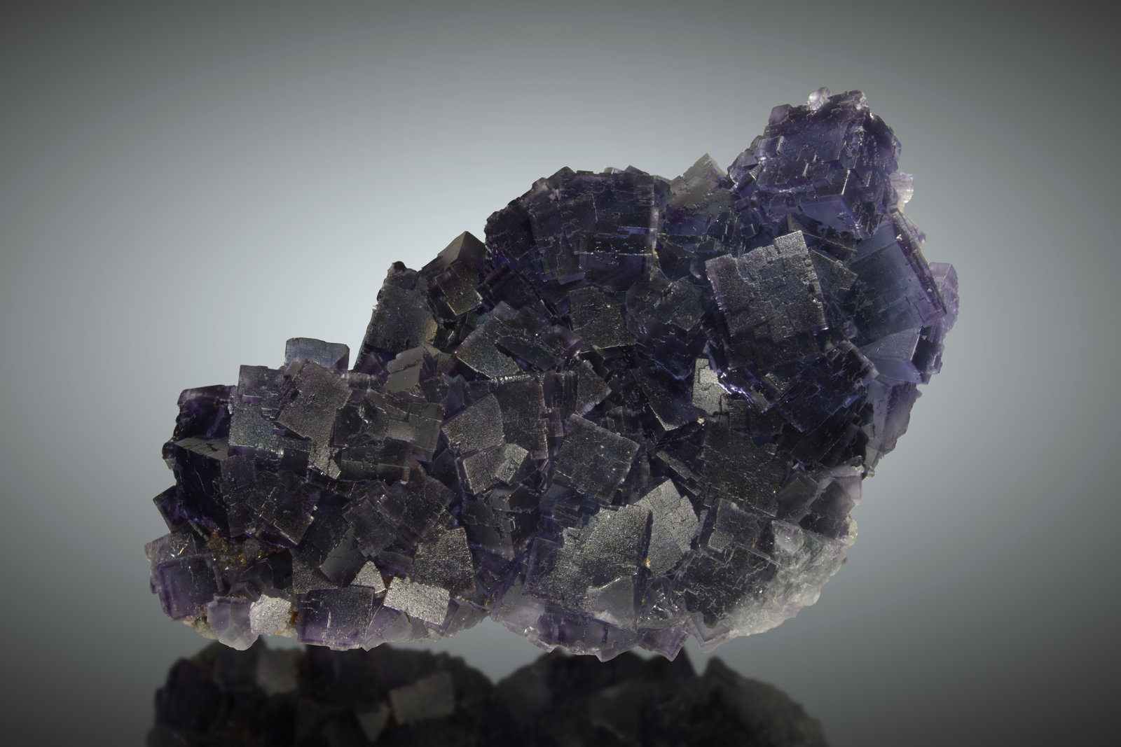 Fluorita
22 x 14cm, cristales hasta 3.5cm de arista
(Autor: Raul Vancouver)