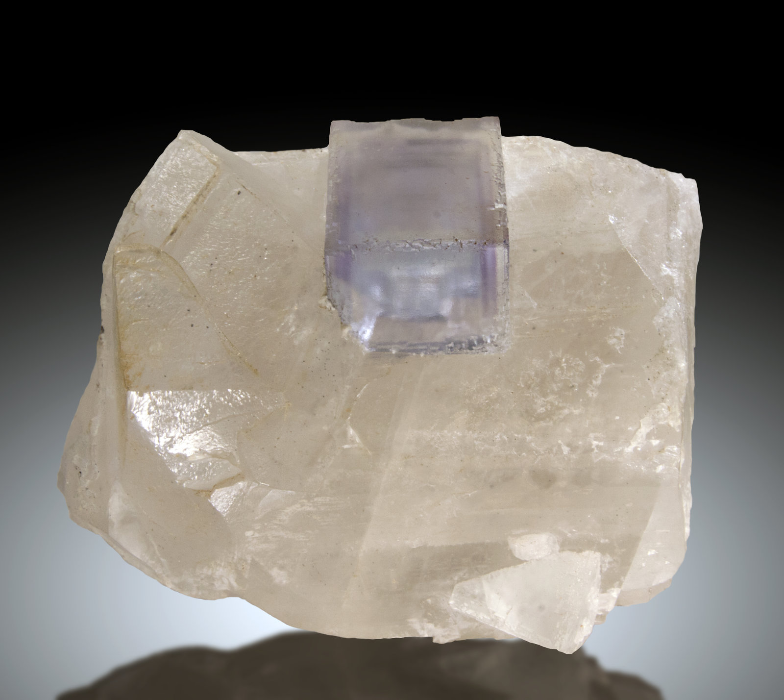 Fluorita, Calcita
12x9cm, cristal de fluorita 4x3cm
(Autor: Raul Vancouver)
