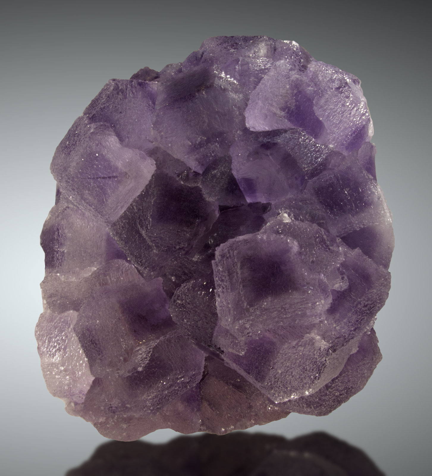 Fluorita
15x13cm, cristales de hasta 4cm
(Autor: Raul Vancouver)