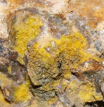 Dewindtita y Fosfohedifana
Detalle de 1 cm
(Autor: canada)