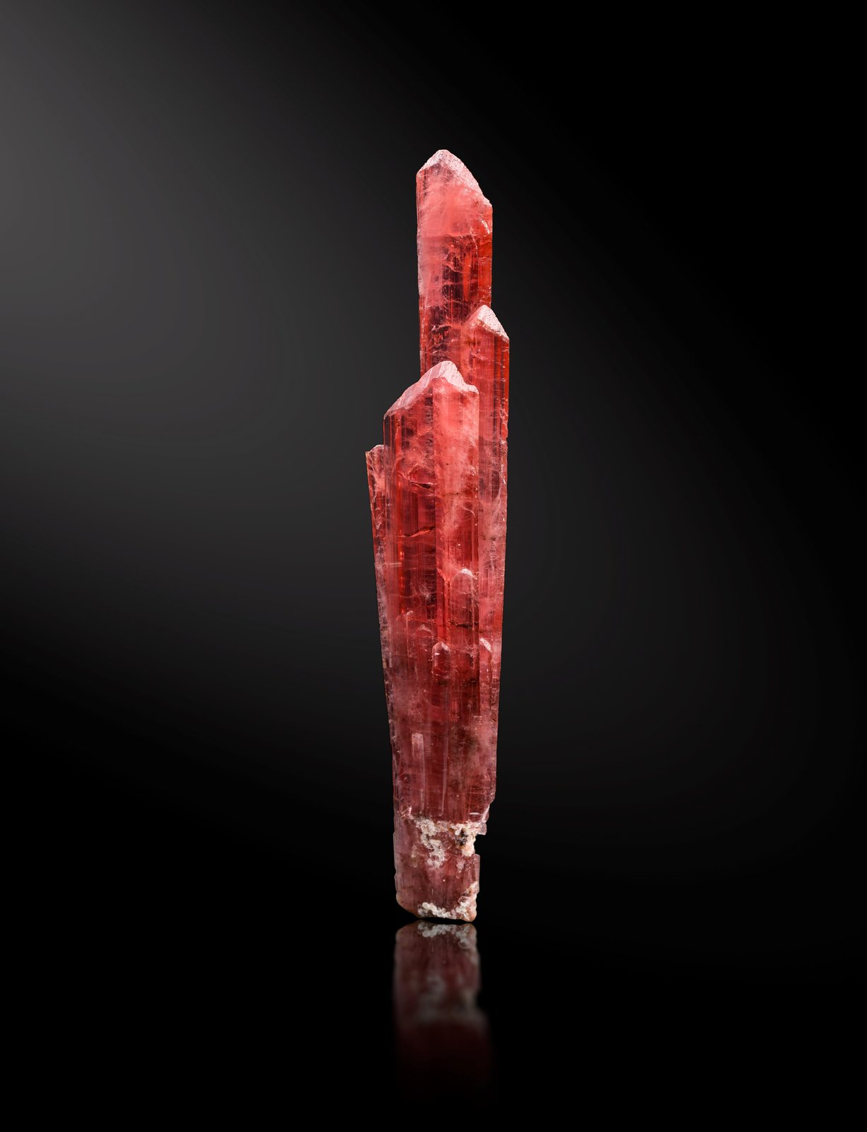 Väyrynenita
3 x 2 x 14.5 cm / cristal principal: 14.2 cm
(Autor: Museo MIM)