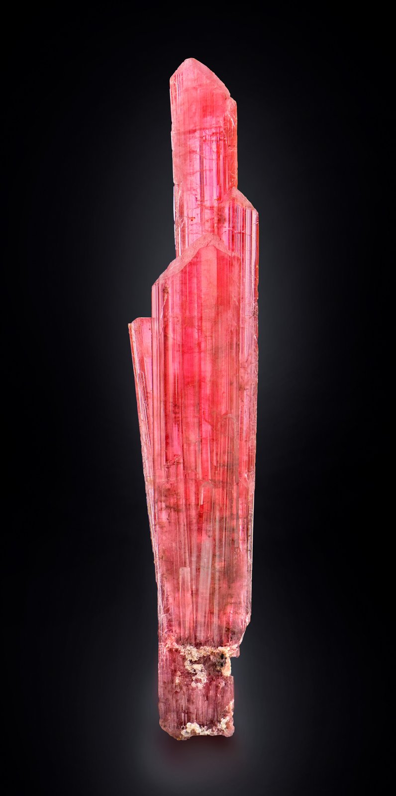 Väyrynenita
3 x 2 x 14.5 cm / cristal principal: 14.2 cm
(Autor: Museo MIM)