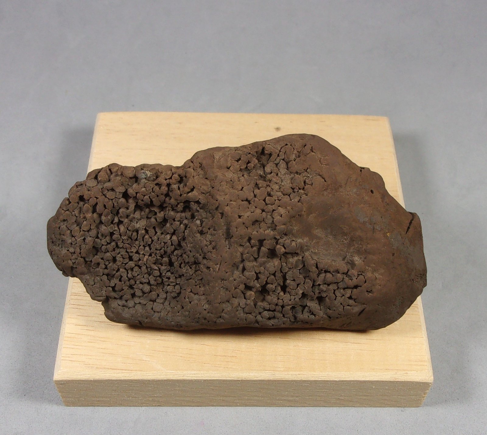 Óxidos e hidróxidos de Mn
8,5 × 5 × 3,3 cm.  14,73 g.
(Autor: J. G. Alcolea)