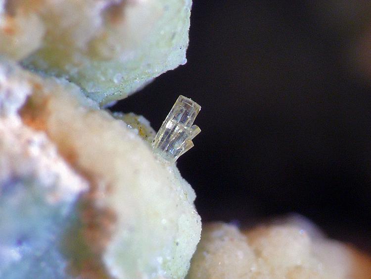 Wavellita sobre Variscita
Cristal sobre 1mm
(Autor: Javier MC)